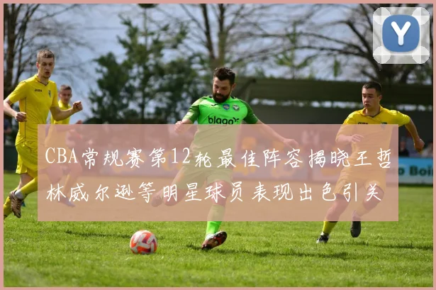 CBA常规赛第12轮最佳阵容揭晓王哲林威尔逊等明星球员表现出色引关注
