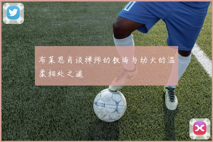 布莱恩肖谈禅师的教诲与幼犬的温柔相处之道